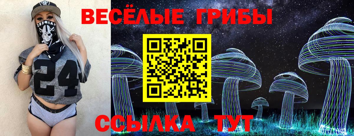 Галлюциногенные грибы Cubensis Алейск