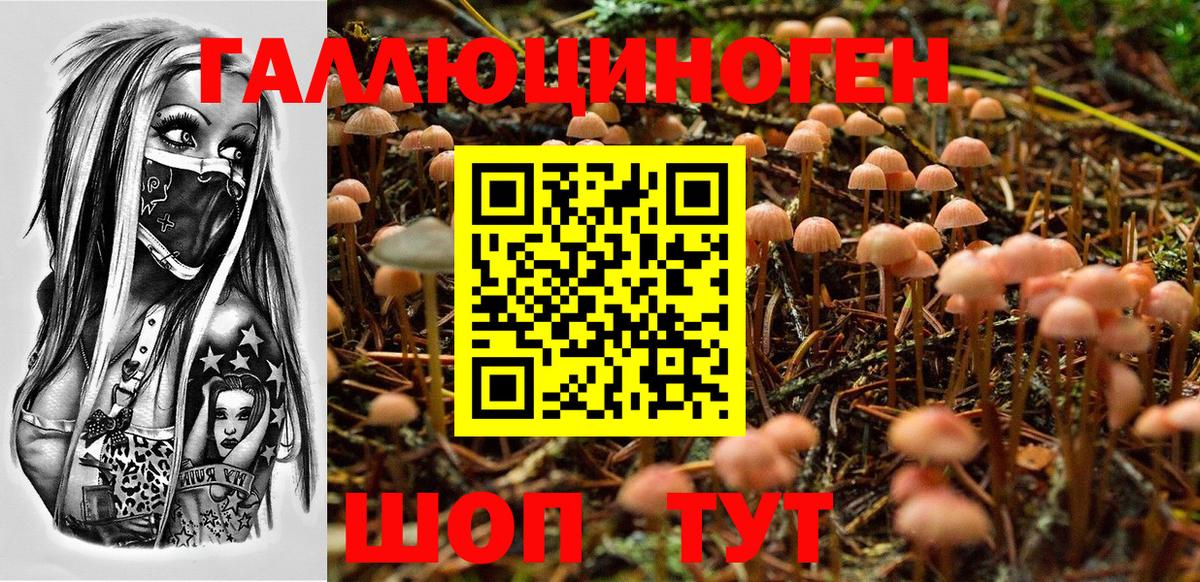 Псилоцибиновые грибы Psilocybine cubensis  Псилоцибиновые грибы Cubensis  Вход с VPN  Алейск 